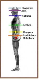 7 chakras