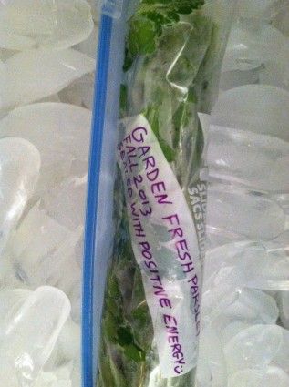 Store Parsley in Freezer During Winter