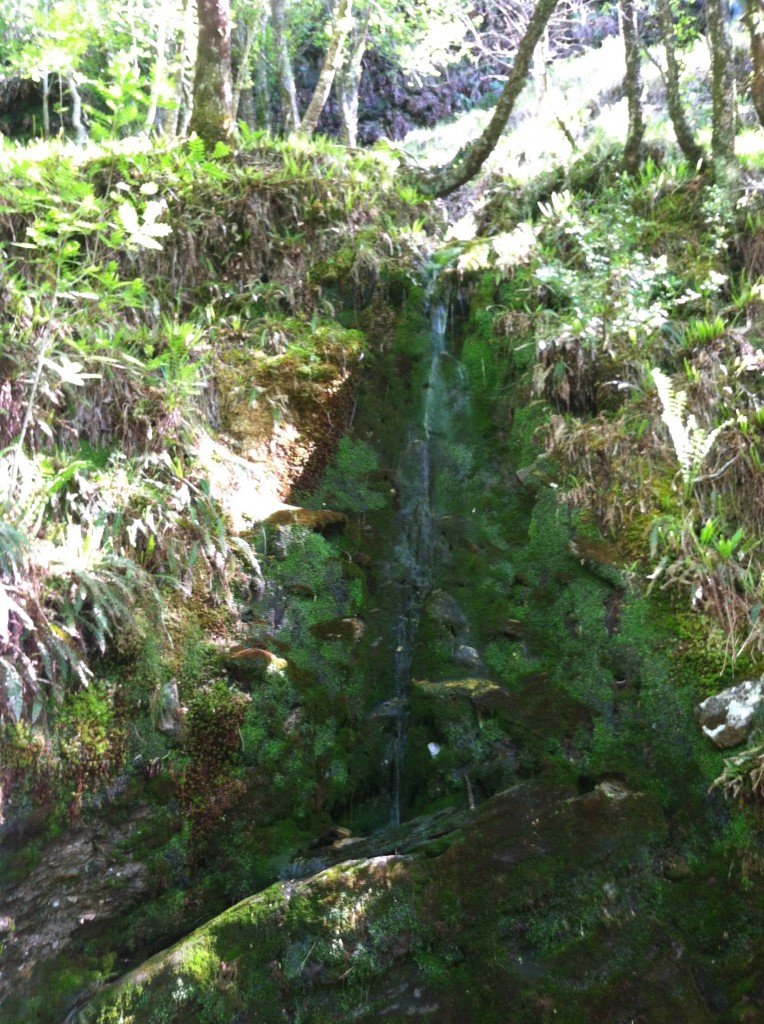 waterfall in wicklow mountains ireland glendalough